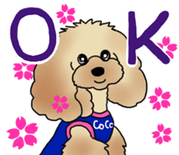 CoCo the Poodle sticker #13882691