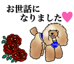 CoCo the Poodle sticker #13882692