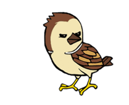 Sparrow bird sticker #13885398