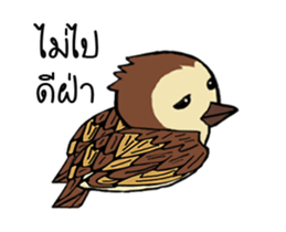 Sparrow bird sticker #13885401