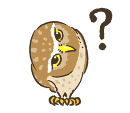 Raptors sticker ~Little owl ver.~ sticker #13885798