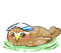 Raptors sticker ~Little owl ver.~ sticker #13885799