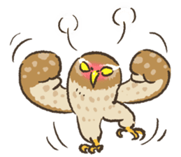 Raptors sticker ~Little owl ver.~ sticker #13885800