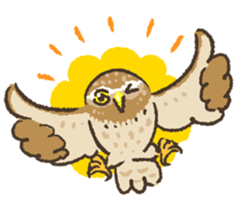 Raptors sticker ~Little owl ver.~ sticker #13885816