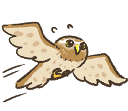 Raptors sticker ~Little owl ver.~ sticker #13885818