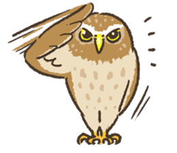 Raptors sticker ~Little owl ver.~ sticker #13885819