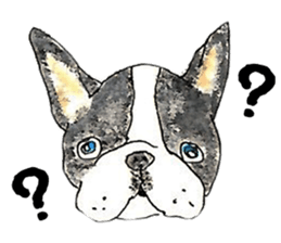 LOVE Boston Terrier sticker #13886006