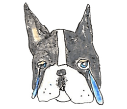 LOVE Boston Terrier sticker #13886009