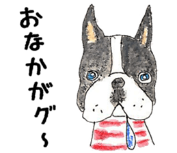 LOVE Boston Terrier sticker #13886020