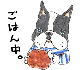 LOVE Boston Terrier sticker #13886021