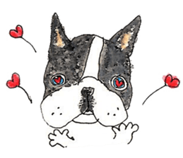 LOVE Boston Terrier sticker #13886025