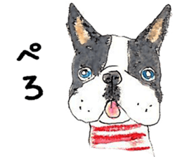 LOVE Boston Terrier sticker #13886036