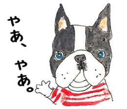 LOVE Boston Terrier sticker #13886045