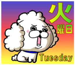 We use weekly poodle every week sticker #13886199