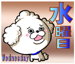 We use weekly poodle every week sticker #13886200