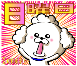 We use weekly poodle every week sticker #13886204