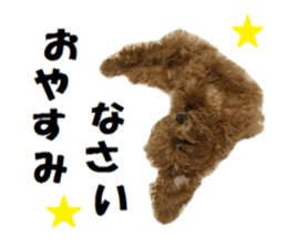 Toy Poodle Lion 2 sticker #13886579