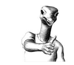 Ostrich Senior 2 sticker #13886735