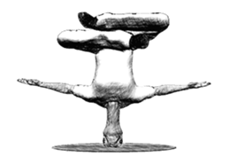 Ostrich Senior 2 sticker #13886750