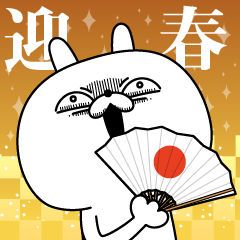 Rabbit expression is too rich (New Year)