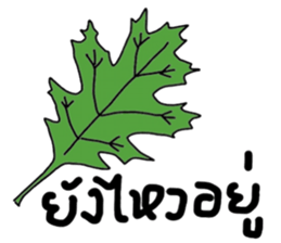 Stock sticker #13888928