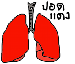 Stock sticker #13888938