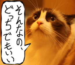 Instead tell the cat part9 sticker #13890278