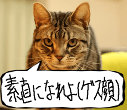 Instead tell the cat part9 sticker #13890281