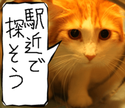 Instead tell the cat part9 sticker #13890286