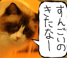 Instead tell the cat part9 sticker #13890287