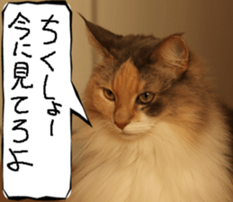 Instead tell the cat part9 sticker #13890288