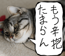 Instead tell the cat part9 sticker #13890291