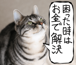 Instead tell the cat part9 sticker #13890298