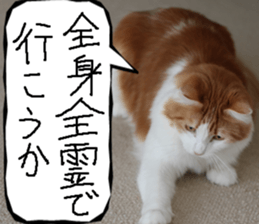 Instead tell the cat part9 sticker #13890299