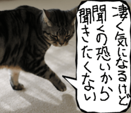 Instead tell the cat part9 sticker #13890301