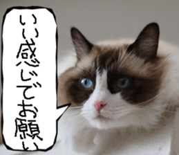 Instead tell the cat part9 sticker #13890315