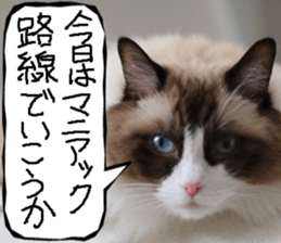 Instead tell the cat part9 sticker #13890316