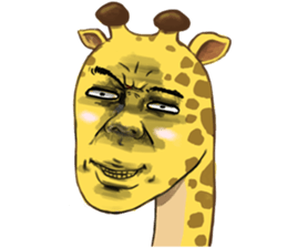 Jook gru Giraffe EN sticker #13890778