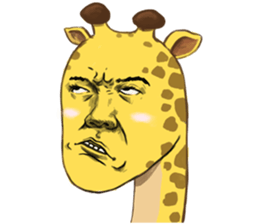 Jook gru Giraffe EN sticker #13890798