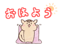 Squirrel can not be represented emotions sticker #13890931