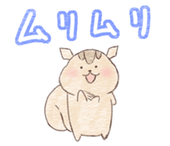 Squirrel can not be represented emotions sticker #13890948