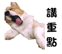 Braised Chicken Leg 1 - debut sticker #13891270