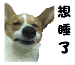 Braised Chicken Leg 1 - debut sticker #13891271