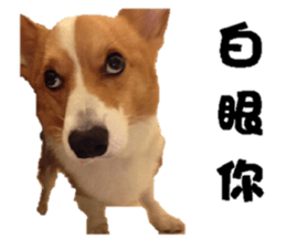 Braised Chicken Leg 1 - debut sticker #13891272