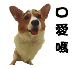 Braised Chicken Leg 1 - debut sticker #13891273