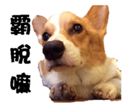 Braised Chicken Leg 1 - debut sticker #13891275