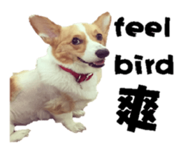 Braised Chicken Leg 1 - debut sticker #13891276