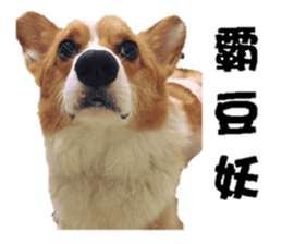 Braised Chicken Leg 1 - debut sticker #13891277