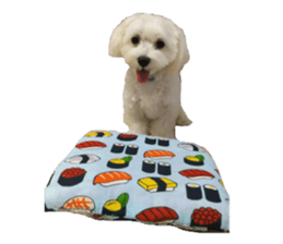 CHULA sticker #13892350