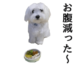 CHULA sticker #13892353